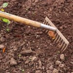 5 účinných tipů na zimní péči o zahradu